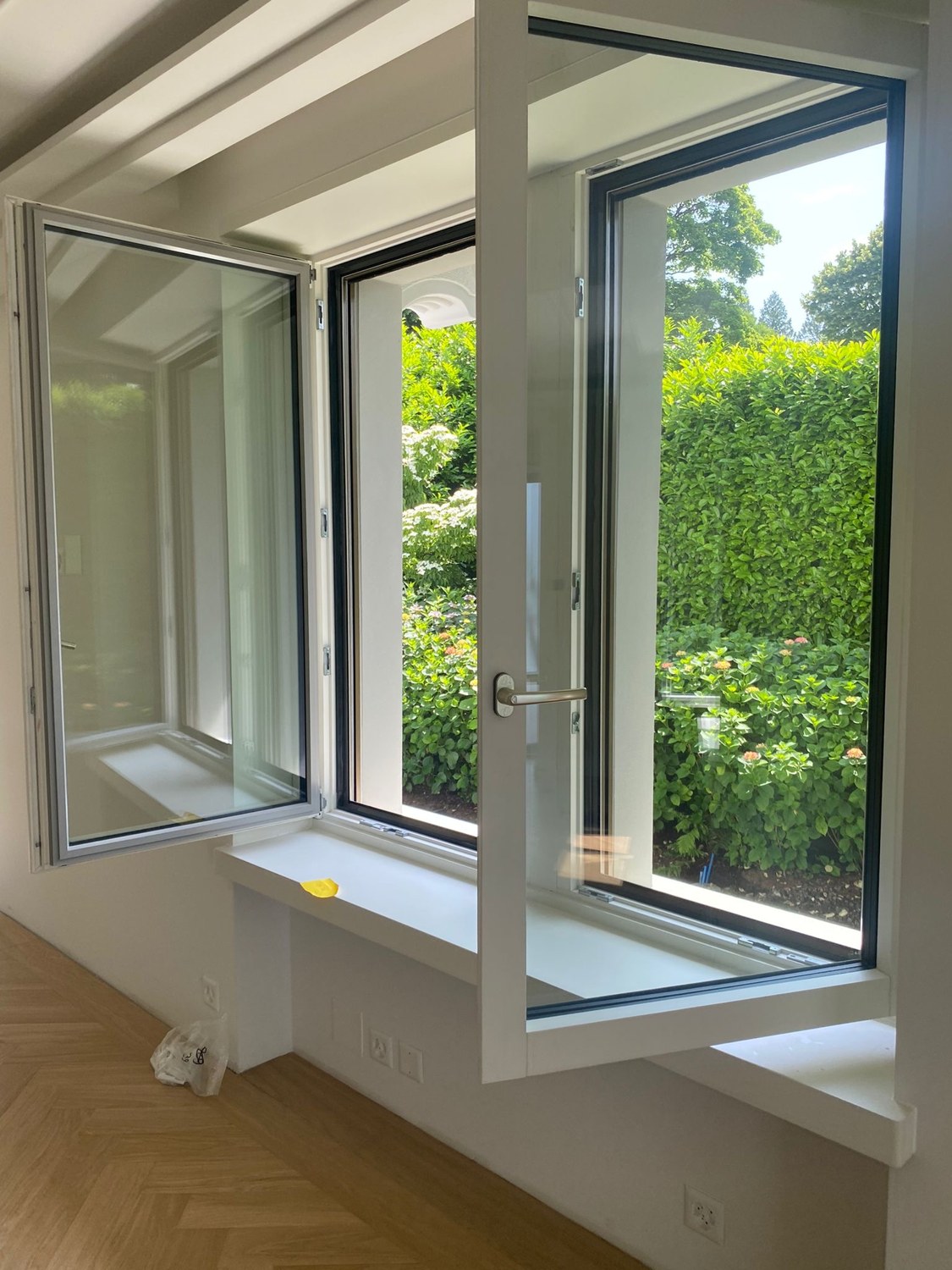 Von Somnia gereinigte Fenster mit Blick in einen grünen Garten